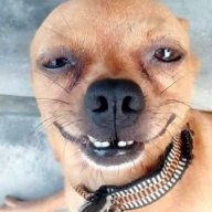 ranh con thích phá hoại